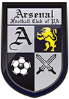 Arsenal 3d shield-100 Arsenal 3d shield-100